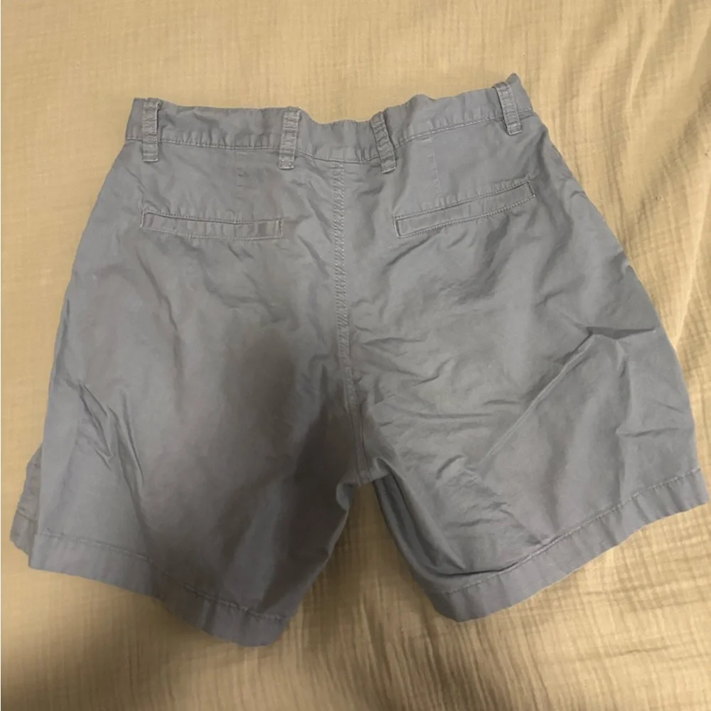 Patagonia Men's Blue Gray Shorts